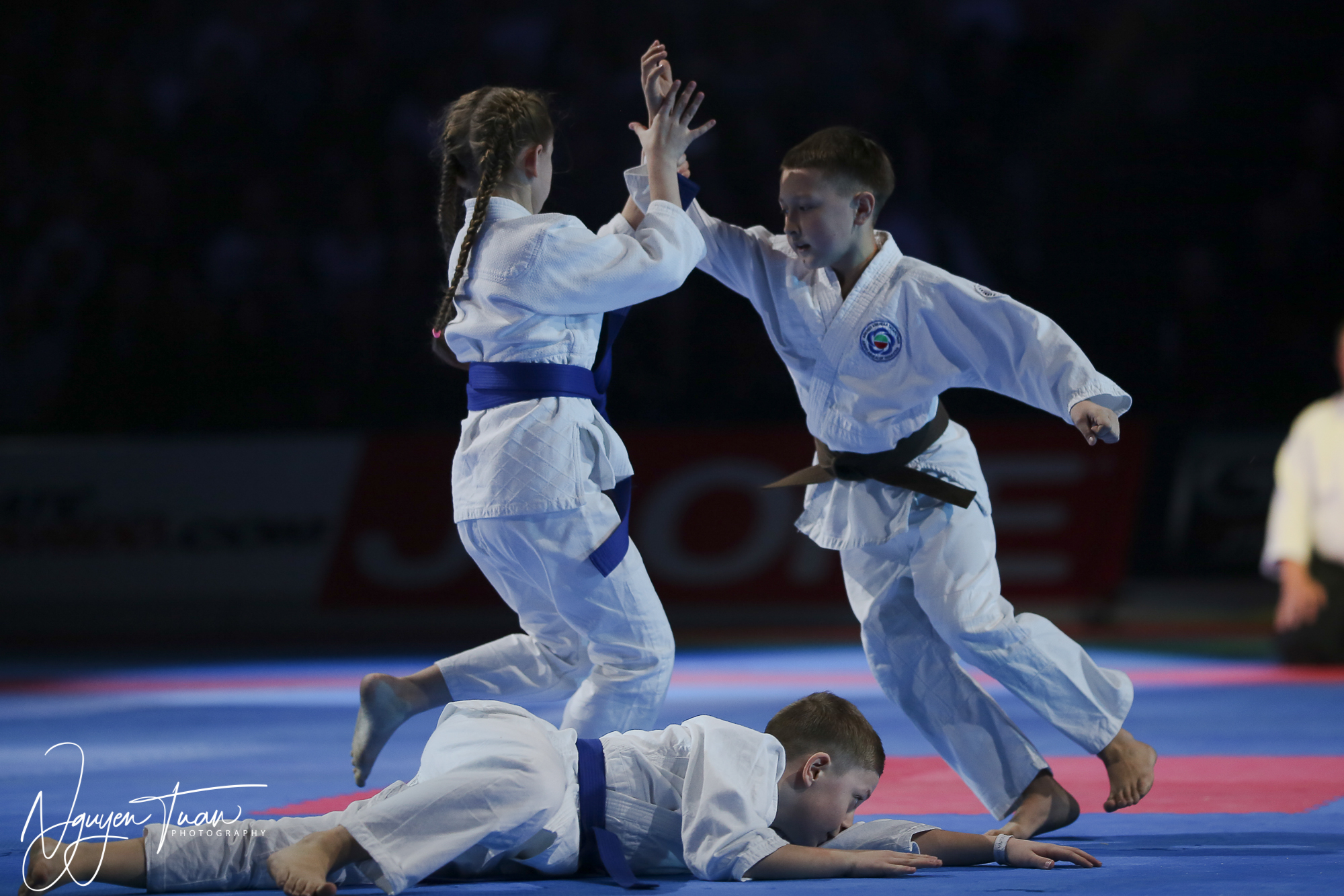 20190324 Festival des Arts Martiaux 3681